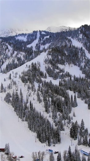 Shaggy’s isn’t just about skis — it’s about skiers. When you choose American-made, skier-built skis, you’re not just supporting a small company — you’re getting skis as unique as you are, built for real performance and lasting memories on snow. | Shaggy's Skis