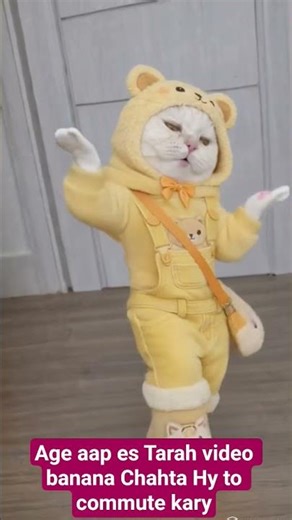Cute Cat Dance 🐱💃 | Baby Cat Dancing in Yellow Outfit 😍🔥 #Shorts