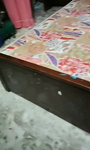 পুরাতন ফার্নিচার নতুনের মতন করতে আমাদের সাথে যোগাযোগ করুন 01969893300.. 01933447180 | Monir Furniture & Repair