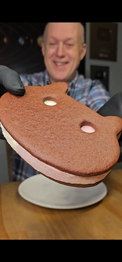 18K views · 498 reactions | Cool Off With Steven's Cosmic Crystal Cookie Cat Creation! #stevenuniverse #cookiecat #icecream #icecreamsandwich #dessert #treats #homemadeicecream #cookies #cookie #cartoonnetwork #fyp | Fred YT | Facebook