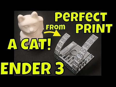 Creality Ender 3, CR-10 - Perfect Print Profile from a CAT ???!!!