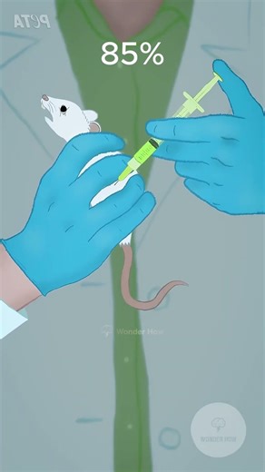 Mouse Experiments ! #interesting #medical #experiment #science #scientist #peta #animalcruelty