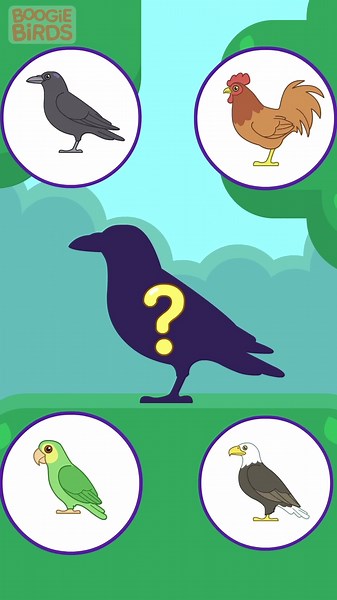 Birds Watching Birds | Learning Video For Kids | Boogie Birds
