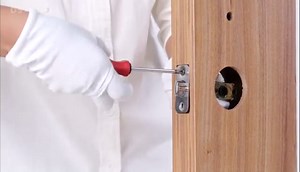 Keyless-Entry Fingerprint Smart Door Lock: LORVIBO Digital Electronic Lock with Code Passcode, Electric Door Knob, Biometric Door Handle, Perfect for Exterior/Interior/Entry/Bedroom Doors (Silver)