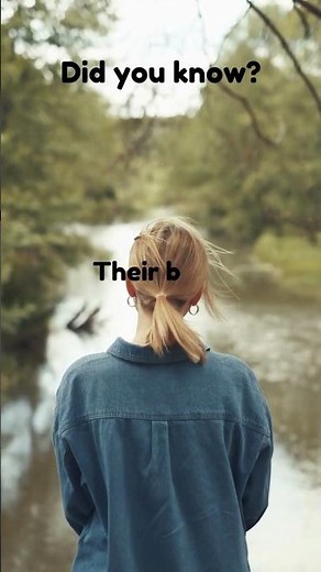 "The Science of Kissing: How Oxytocin Enhances Bonding"