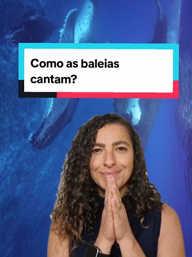 🇧🇷 Esse é o som mais perfeito do planeta, o canto da baleia-jubarte! Mesmo sem cordas vocais, elas produzem sons incríveis, de gemidos e grunhidos a verdadeiros cantos que ecoam por milhares de quilômetros. Tudo isso graças às Dobras U, estruturas na laringe que vibram quando o ar é reciclado internamente, sem sair do corpo. Os machos cantam durante o período reprodutivo, exibindo força e conquistando as fêmeas com suas melodias submarinas. O som se propaga cerca de 4 vezes melhor na água do q