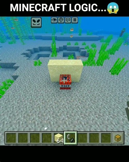 Minecraft Logic Is Broken 😭 || #shorts #minecraft #trending #gaming #bassboosted #babyshorts