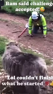 Handyman Vlad This won’t happen with Handyman Vlad! 💪🔧 Call 850-708-5598 #HandymanFails #DIYGoneWrong #ConstructionFails #EpicDIYFails #HomeImprovementGoneWrong #FixItRight #ProHandyman #HomeRepairHacks #DIYDisaster #construction #FunnyHomeFails #WhatNotToDo #ViralDIY #HandymanVlad #PCBHandyman #PCB | Handyman Vlad