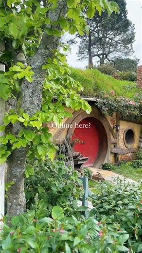 A little piece of Middle-earth right here in New Zealand. 🌿 ✨#Hobbiton #HobbitonMovieSet #travel