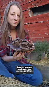 714 reactions · 27 shares | This year, grow mushrooms!    It’s fun, sustainable, and easier than you think to get started.  Mushrooms are a delicious, high protein source of fiber, minerals, and antioxidants  Choose from a variety of beginner-friendly edible and medicinal mushroom strains, including wine cap, oyster, and shiitake  Grow outdoors on logs, in garden beds, and in containers. | North Spore | Facebook