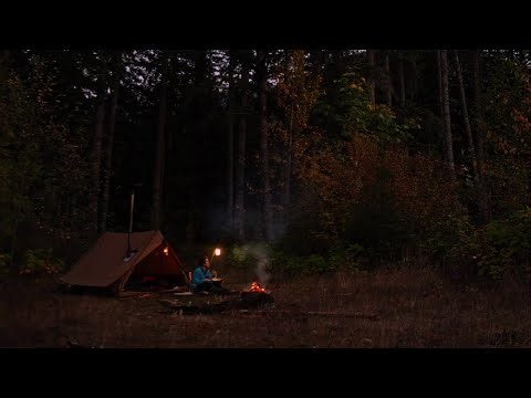 Relaxing and Peaceful Camp with My Dog | River and Campfire ASMR