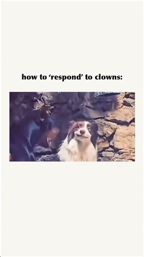 how to ‘respond’ to clowns: