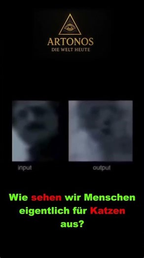 Wie sehen Menschen eigentlich für Katzen aus?