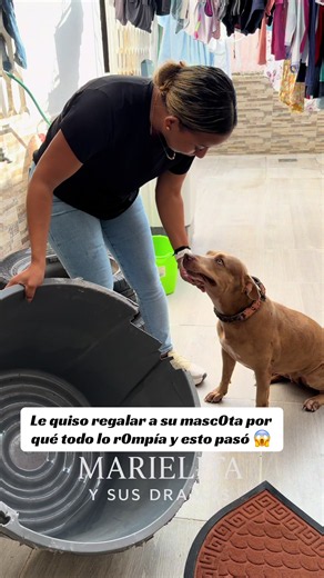 Le quiso regalar a su masc0ta por qué todo lo r0mpía y esto pasó 😱 #viralvideos #historia #fypシ゚viral🖤tiktok #Usa #reflexion