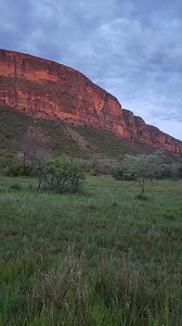 11K views · 263 reactions | "Early morning sounds of the Waterberg" How many bird calls can you identify? Birding is not only a feast for the eyes, but the ears as well. I'll share some of the awesome photos I took at Entabeni Game Reserve in the next few days. | Thinus Van Staden | Facebook