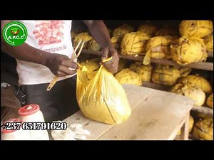 Mushroom cultivation: Here's how to succeed in the seeding phase