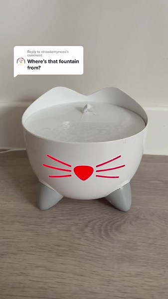 Catit Water Fountain Review and Setup Guide