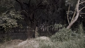 131K views · 5.9K reactions | Mystery in the Jungle: Scariest...