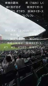 「六甲おろし」が声高く、試合前に 甲子園球場に鳴り響きます。セ、パ交流戦対日本ハムファイターズ#甲子園球場#交流戦