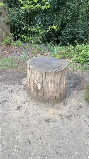 In Bulgarian