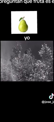 Licenciado en Comedia: Memes de José José