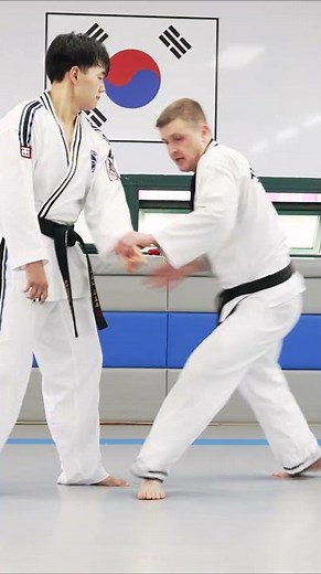 Stage de Hapkido en Corée #hapkido #hapkidojjk #jinjungkwan #jinmudojang