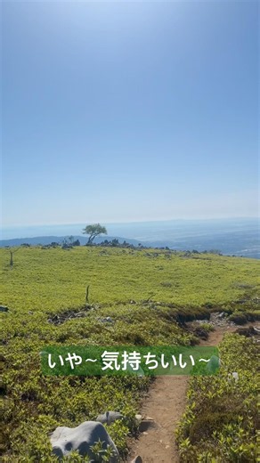 『藤原岳登山.19』2026年5月10日#mountaineeringlife #自然#トレッキング #japan #ソロ登山 #nature #山頂 #鈴鹿山脈 #石灰岩 #日本三百名山