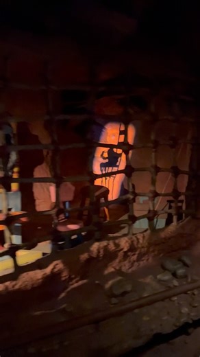 Splash Mountain queue! #waltdisneyworld #splashmountain #seewdw | See WDW