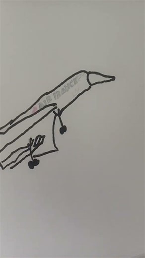 rate my concorde drawing