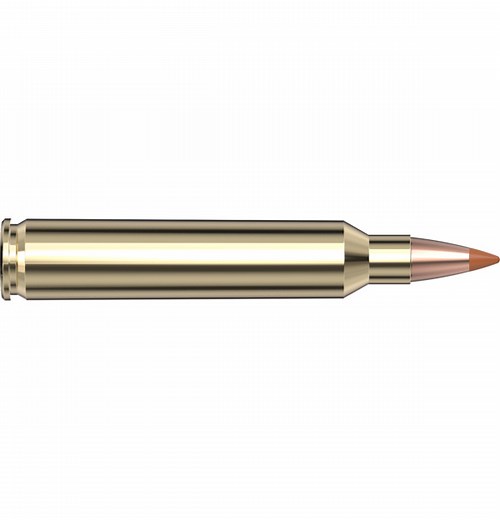 204 Ruger 24 gr NTX® Superformance® Varmint - Hornady Manufacturing, Inc