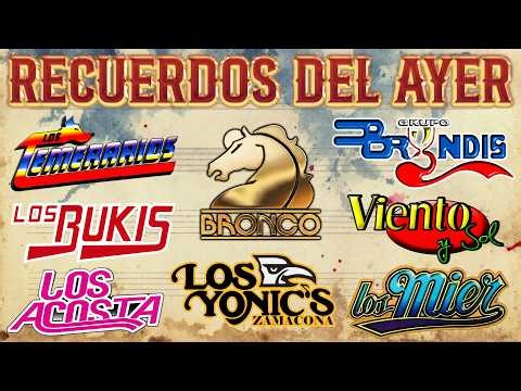 VIENTO Y SOL, LOS MIER, LOS TEMERARIOS, LIBERACION, BRYNDIS, LOS REHENES 40 RECUERDOS DEL AYER