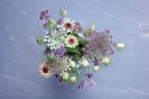 Learn how to grow cut flowers in your garden!