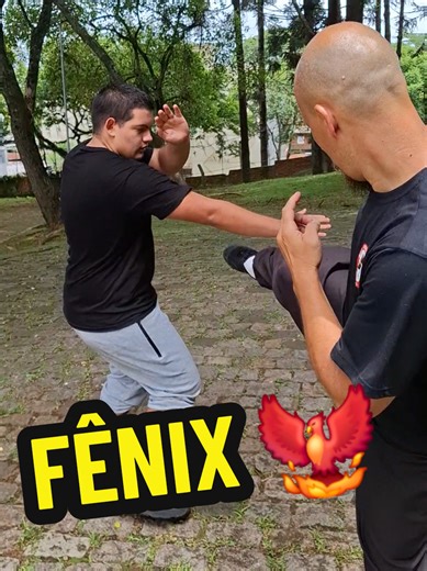 Learn Kung Fu Techniques with Fênix