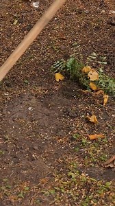 The simplest DIY lawnmower | 5-Minute Recycle