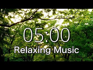 5 minute timer ⌛️ morning sun lit forest, calm relaxing music/meditation