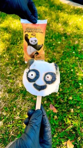 😳 What Happened To The Kung Fu Panda Popsicle’s Eyes?! 🐼👀