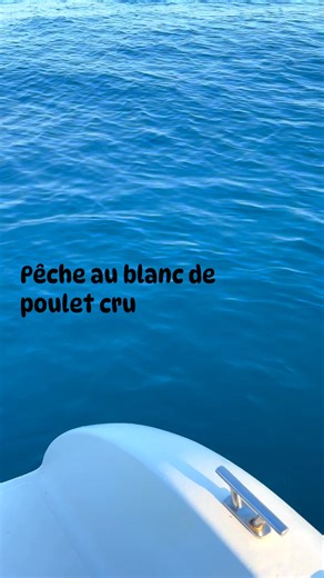 Pêche au blanc de poulet cru et ben ça fonctionne !!!!! #peche #poulet #pecheenmer #pecheur #bateau #fish #poisson #fishing | Je pêche à Sète