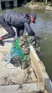 抓太多鱼😅 | 旅游达人Travelblog