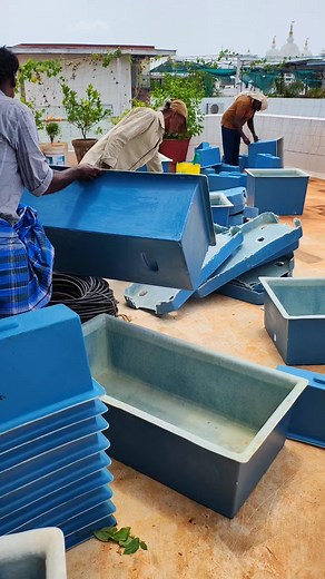 24K views · 168 reactions | Another Step Toward Greener Living! ...