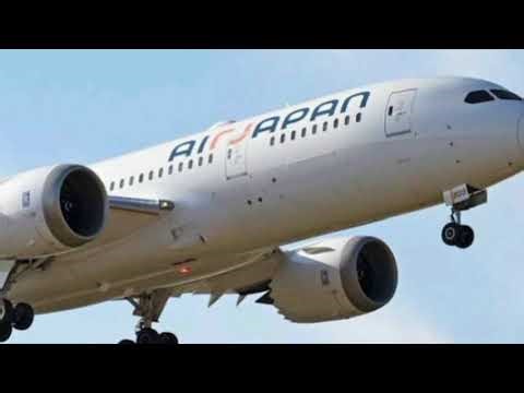 AirJapan最終便…わずか2年で消えた理由とは✈️涙のラストフライト