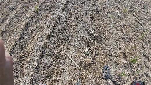 Finding a Home site#metaldetecting #relichunting #relic