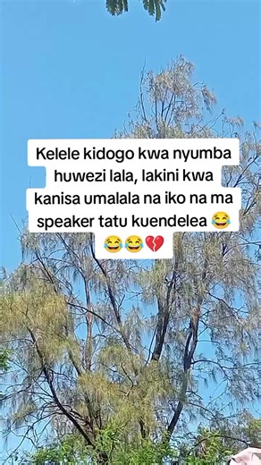 Daah hii hatari 😂😂#trendingvideo #mombasatiktokers #kenyantiktok🇰🇪 #foryourpage #robinhood_12