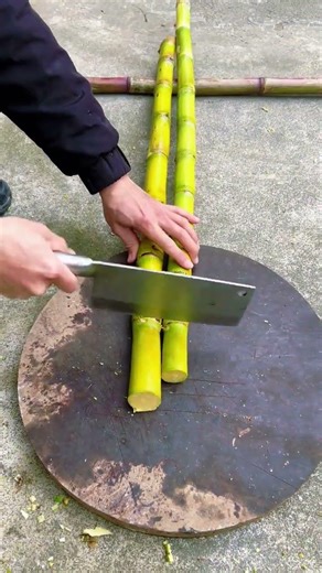 #Douyin Hot Spot Memory 2025#Open the World in Books Annual Video#Happiness is countle