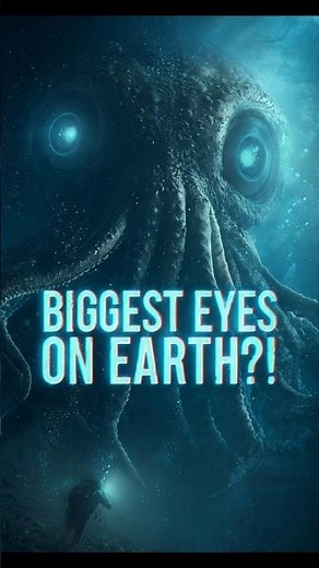 The Animal With the Largest Eyes on Earth 👁️🌊