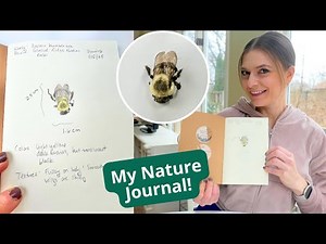 Quick Guide to Nature Journaling: Tools and Tips from a Wildlife Biologist