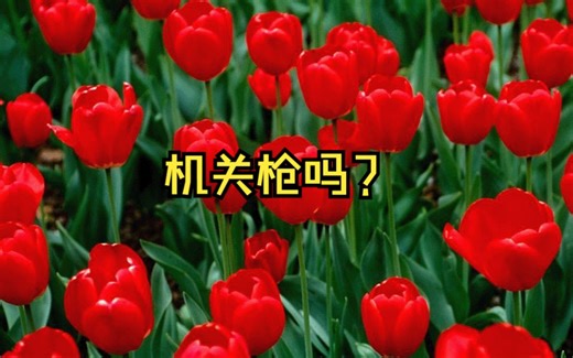 【冰与火之舞】we couid get more machinegun psystyle