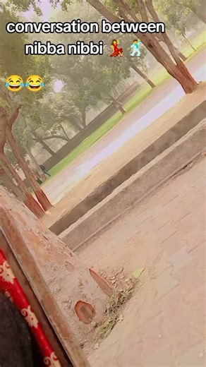 Exploring Campus Life at Islamiya University Bahawalpur