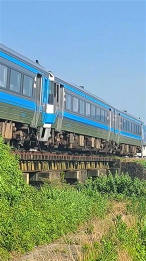 キハ185系 4002D #徳島 #4002D#キハ185系 #電車 #shorts