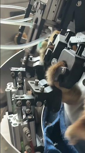 Automated injection vaccine machine for poultry #greatfarm