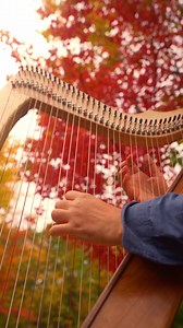 70K views · 5.9K reactions | A Thousand Years by Christina Perri on a Harp (Rees Harps Inc.) | AcousticTrench | Facebook